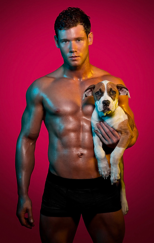 Calendario de chulazos y perritos para 2016