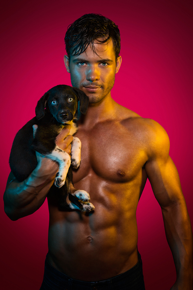 Calendario de chulazos y perritos para 2016