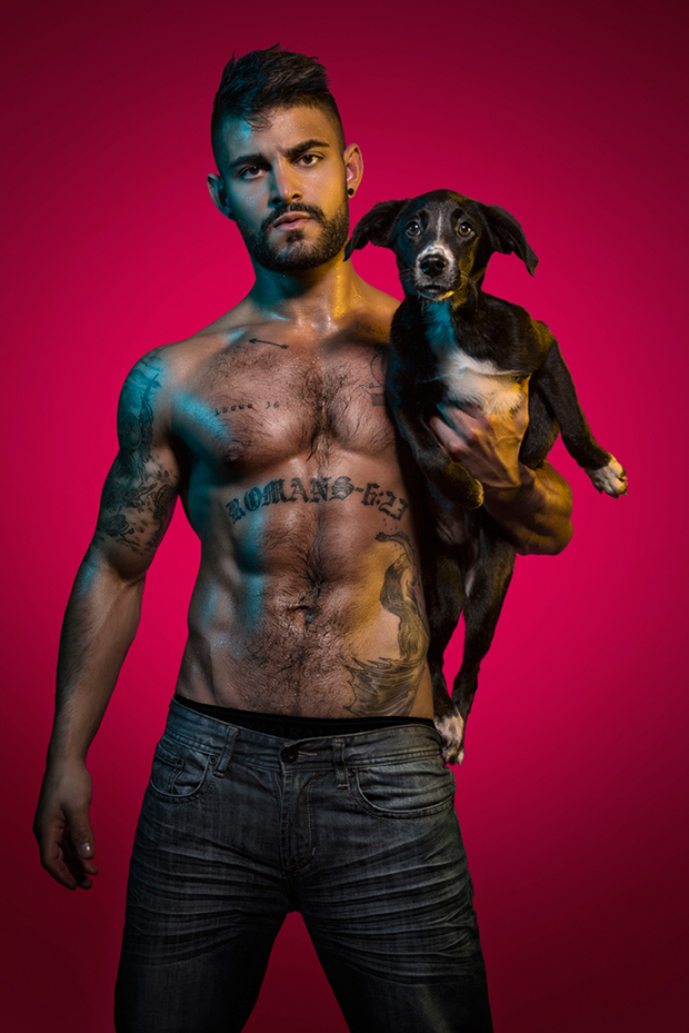 Calendario de chulazos y perritos para 2016